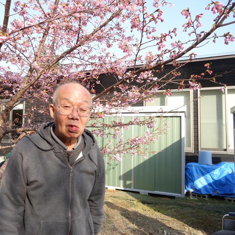 安良川センター内の桜が咲きました♪