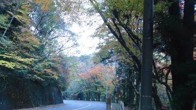 高萩市花貫渓谷付近の紅葉が見頃です♪