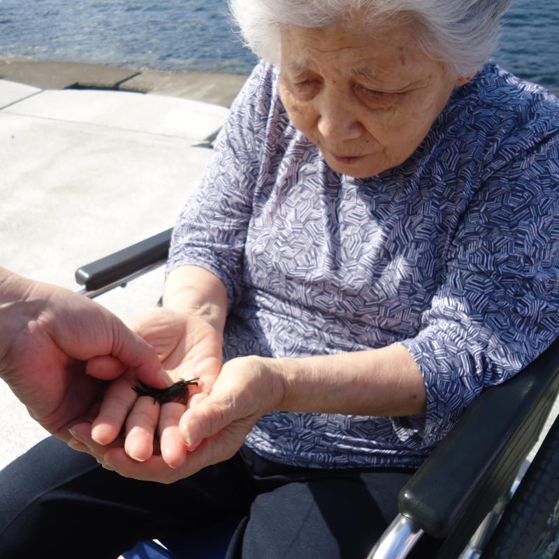 このカニ可愛いから、飼っちゃおうかしら♪と利用者様　（帰りにきちんと海へリバースしました）