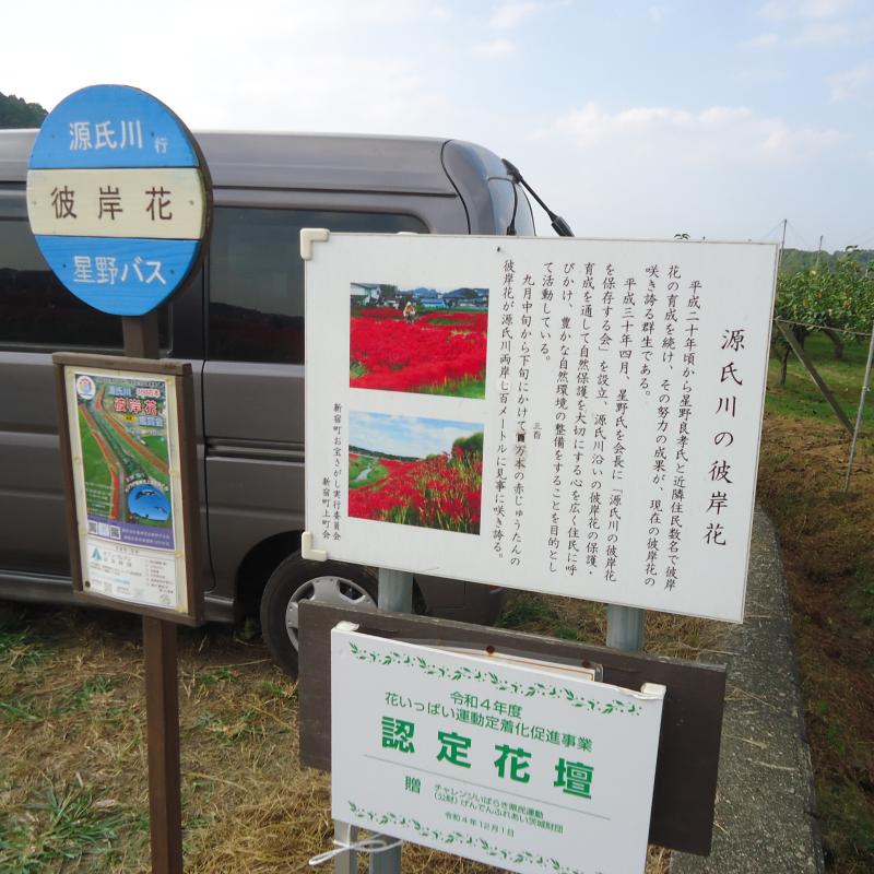 源氏川の彼岸花を観に行きました♪