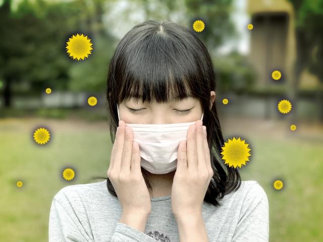 花粉の飛散が始まっています